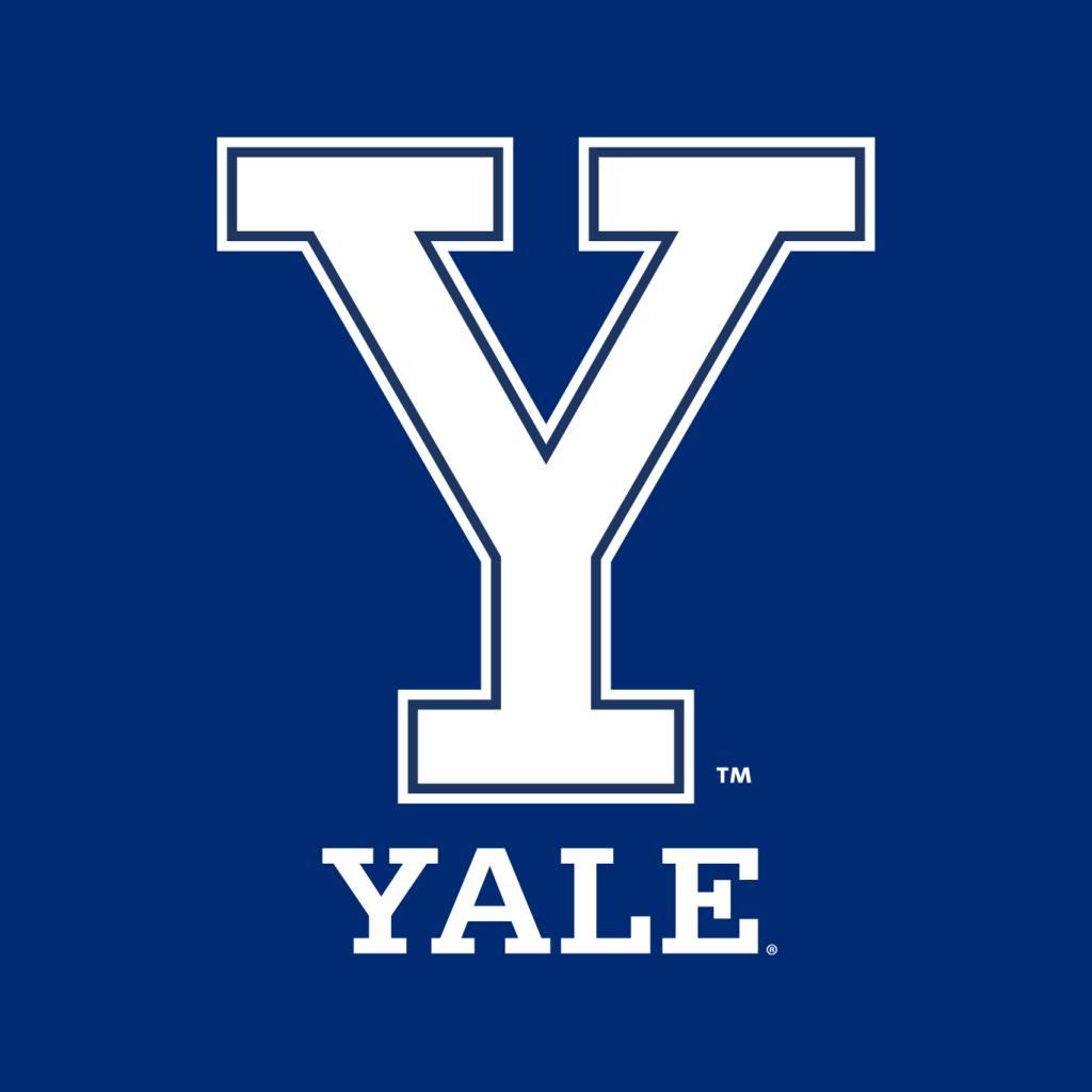 Yale University Classic Y Logo Men's T-Shirt product image 5