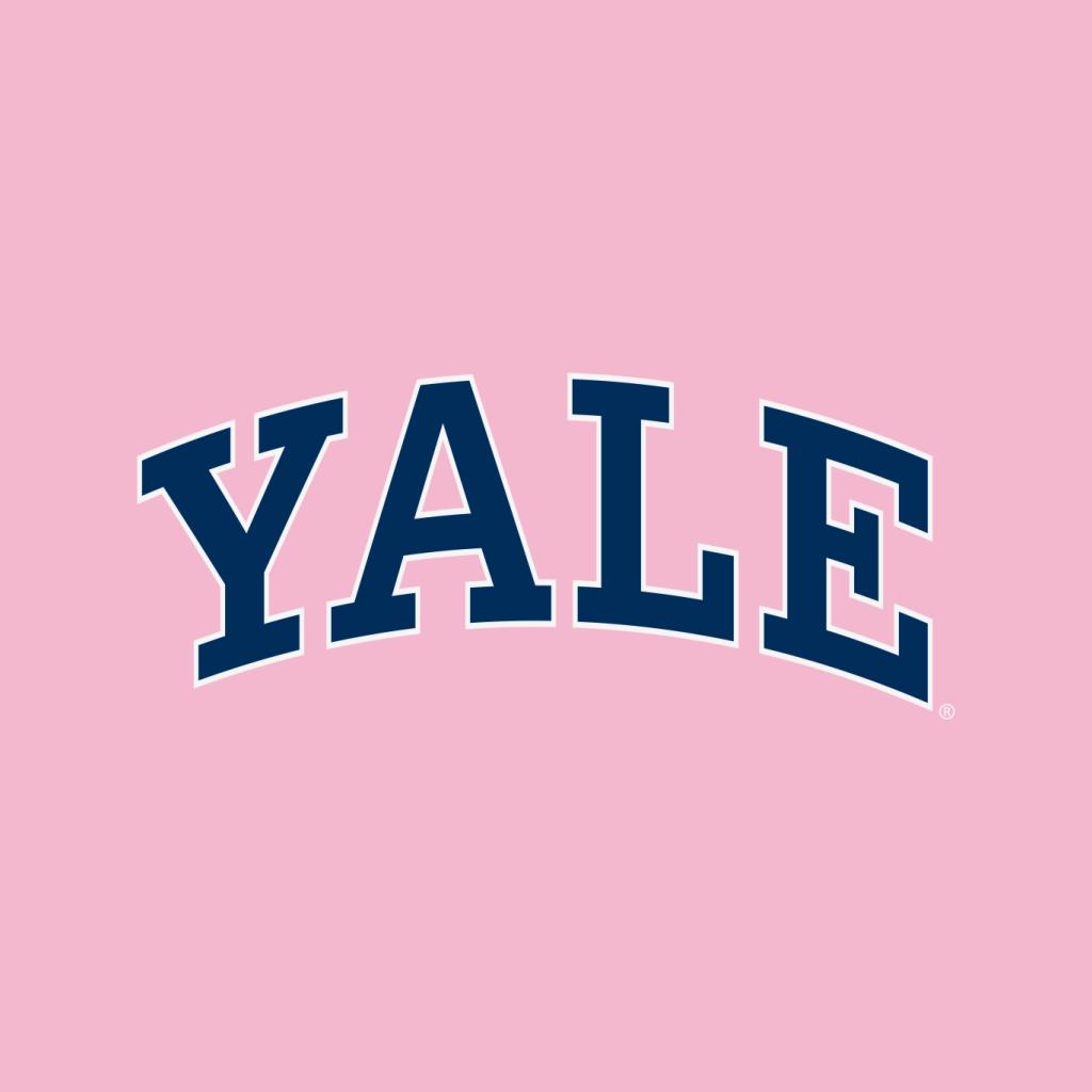 Yale University Blue Block Logo Kid's Hooded Sweatshirt product image 7