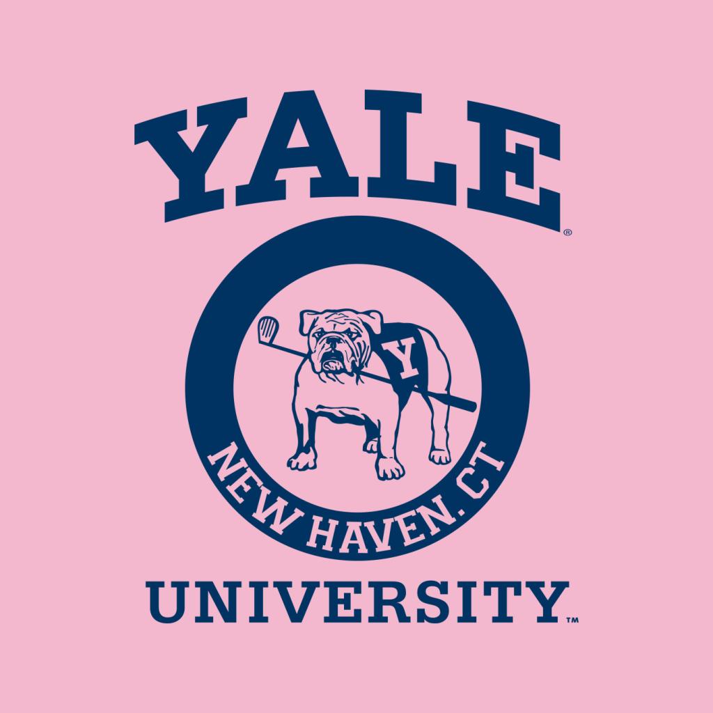 Yale University New Haven CT Kid's Hooded Sweatshirt product image 7